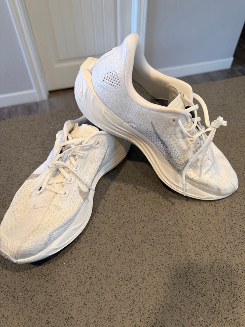 Nike Pegasus Plus (never ran in)